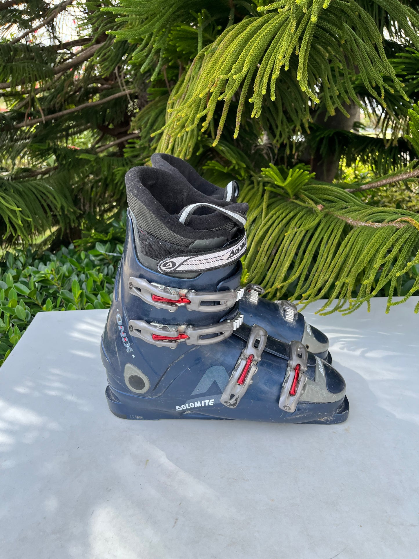 Dolomite Onix Ski Boots 351mm Size: 31