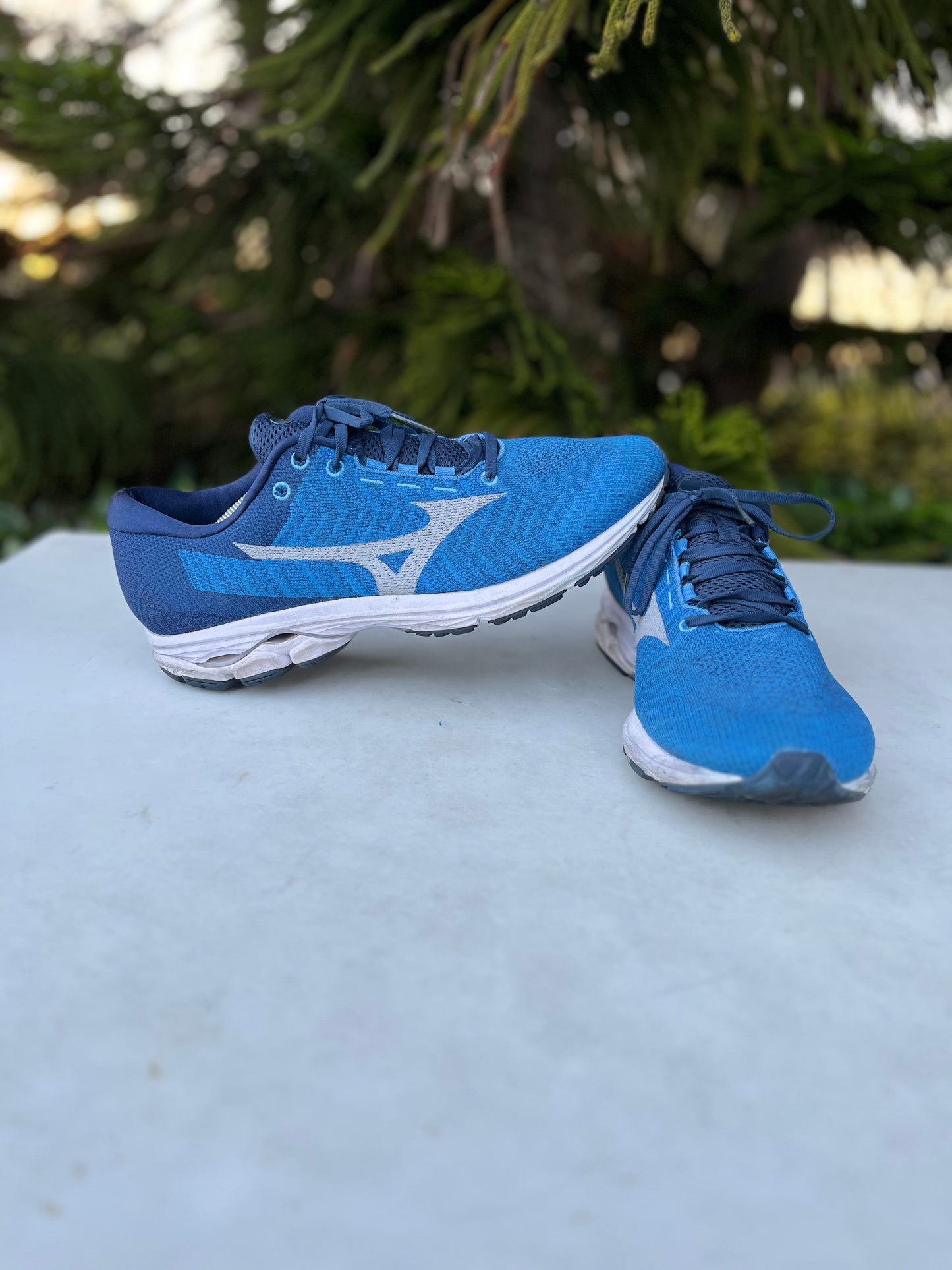 Mizuno Wave Knit Wave Rider Running Shoes Mens Size: 12.5
